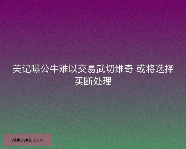 美记曝公牛难以交易武切维奇 或将选择买断处理