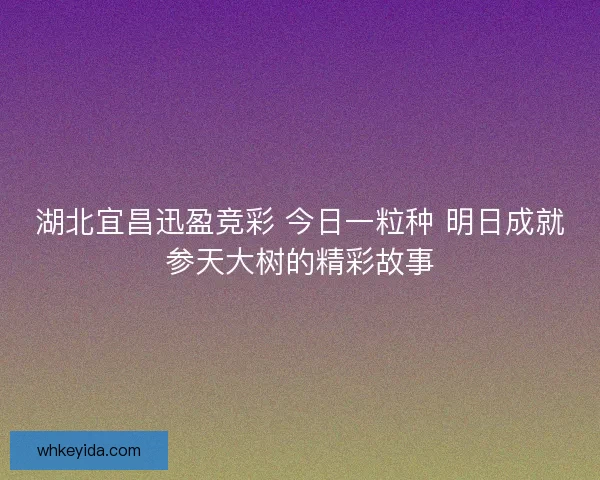 湖北宜昌迅盈竞彩 今日一粒种 明日成就参天大树的精彩故事